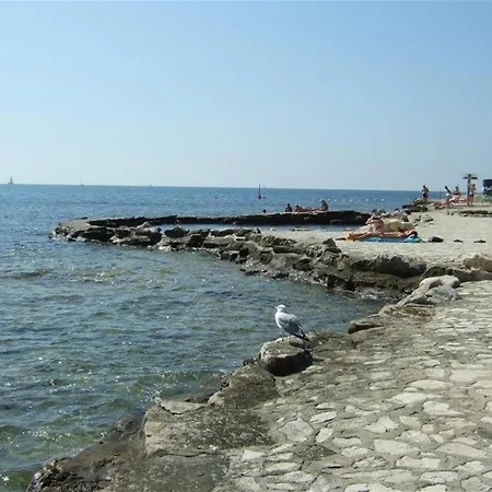 Igor A4 شقة Novigrad Istria